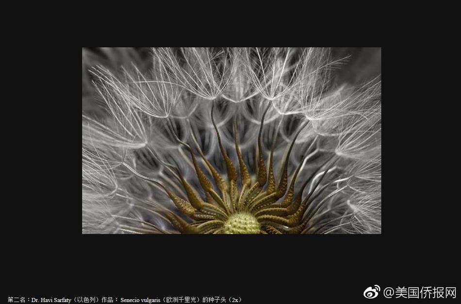 黄 色情网 站 另