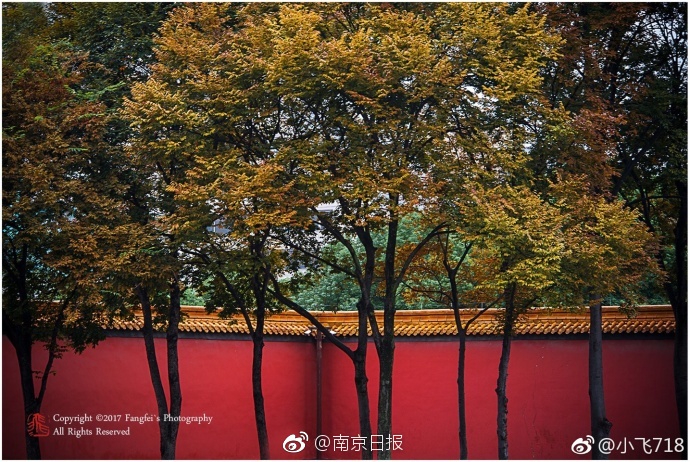 性按摩师满足少妇