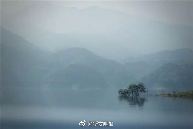 美女100%无遮挡