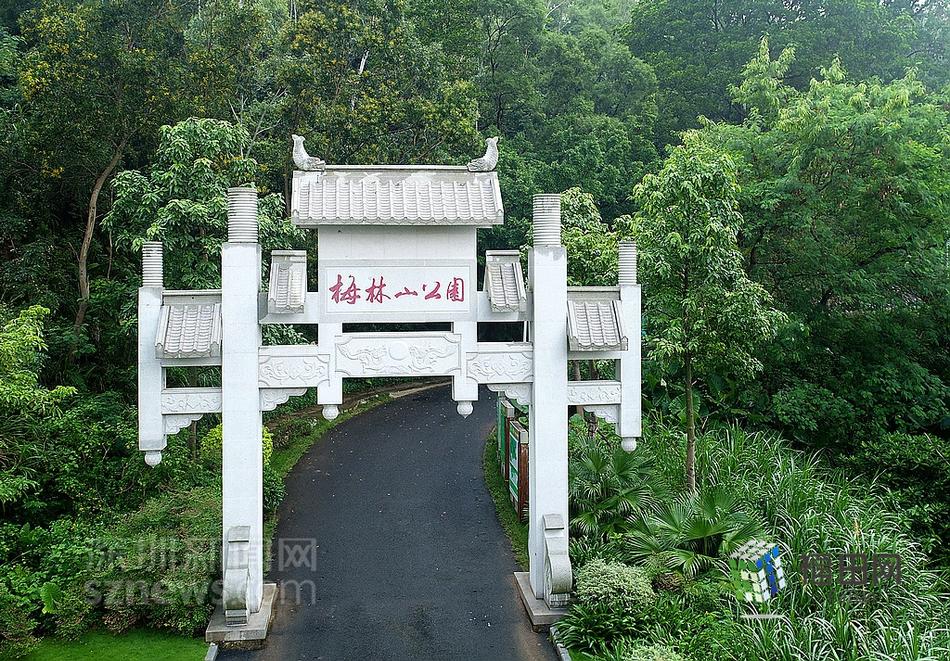 日女人的逼