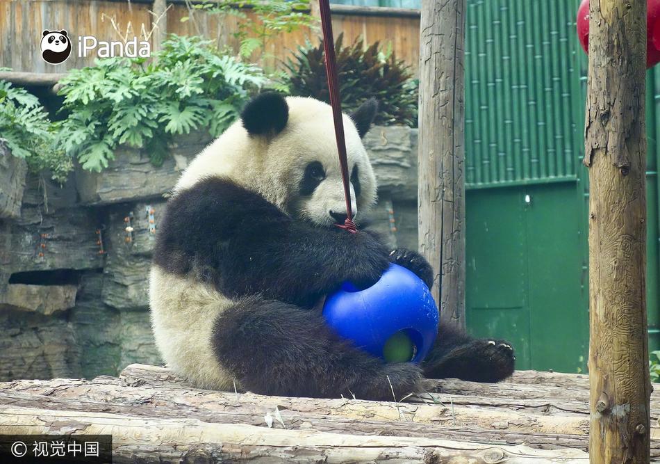 辜怡媃