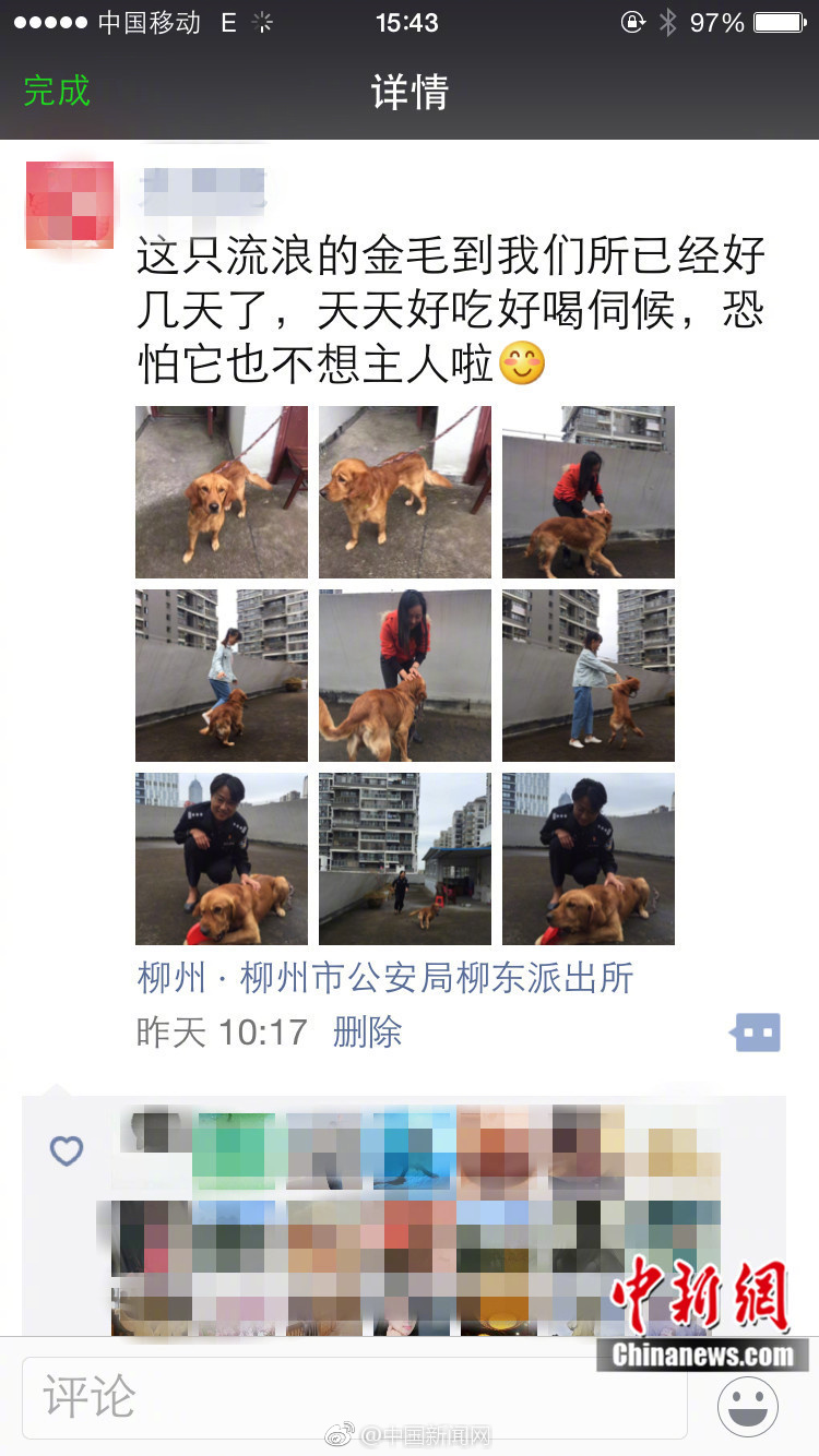 荷兰大白肥屁股BBBBBB
