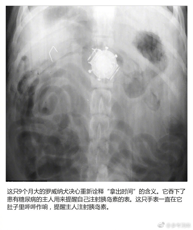 欧美黄色电影网址