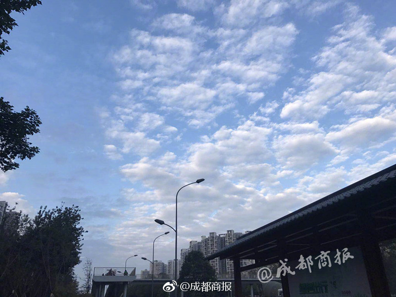熟女屁股视频