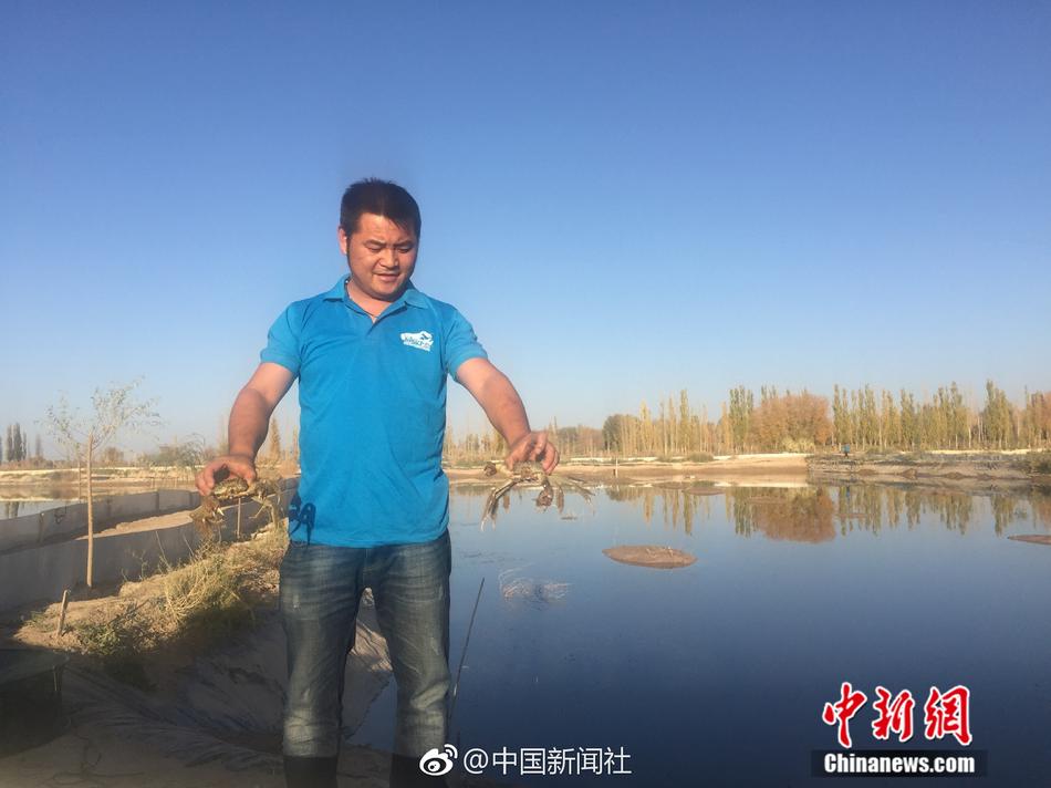 西西里美丽的传说