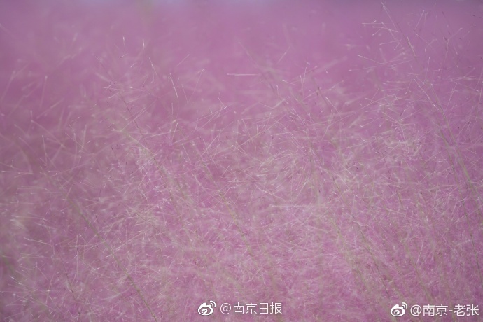 性――交――性――乱老女人