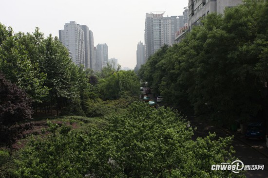 欧美精品一区在线发布