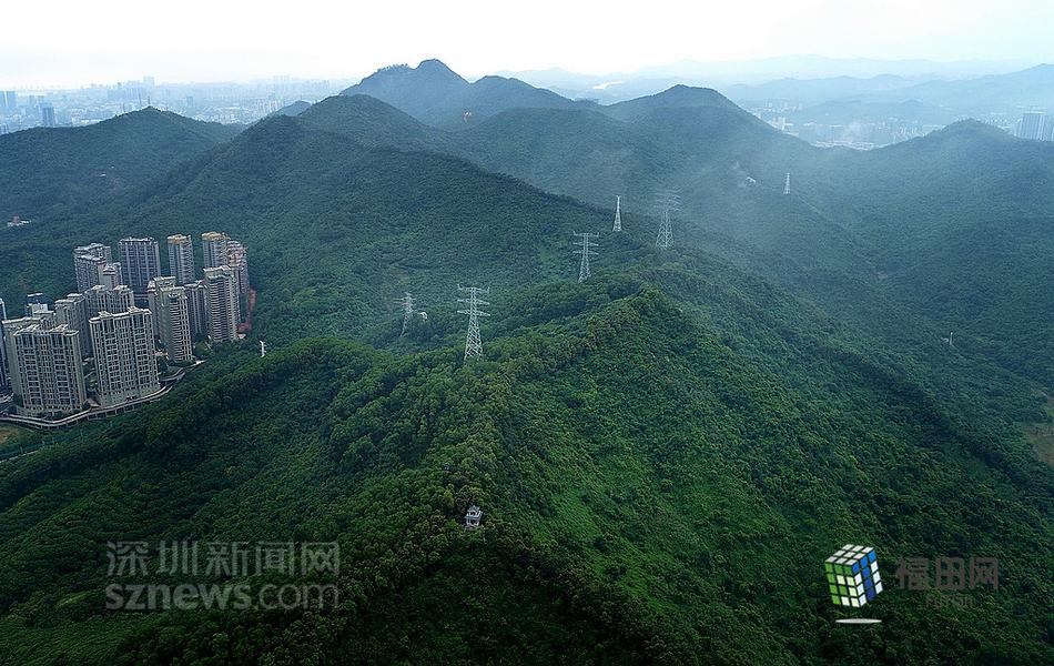卡通 色情 网