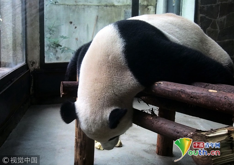 女教师一级特黄毛片