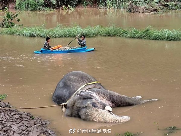91  丨PORNY丨在线中文