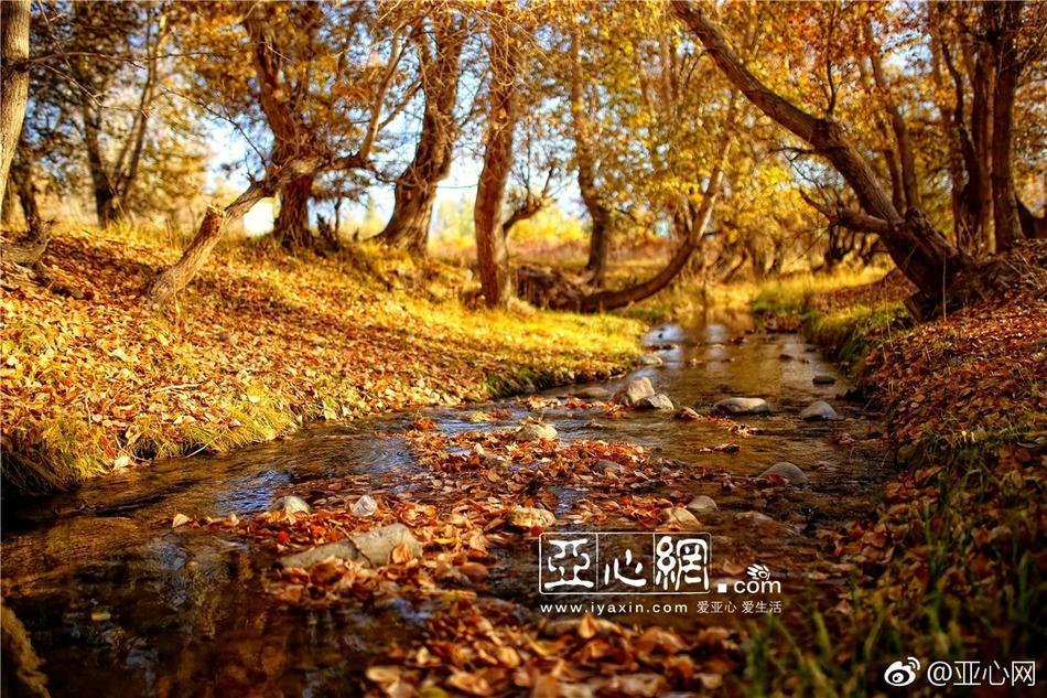 丝袜老师让我 了一夜作文