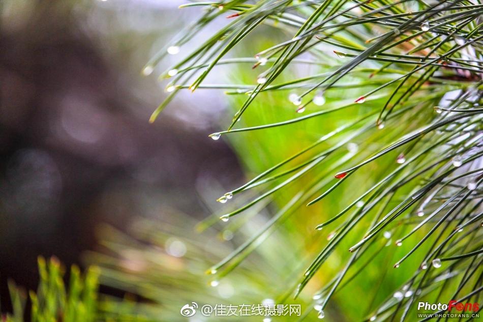 成人黄色毛片