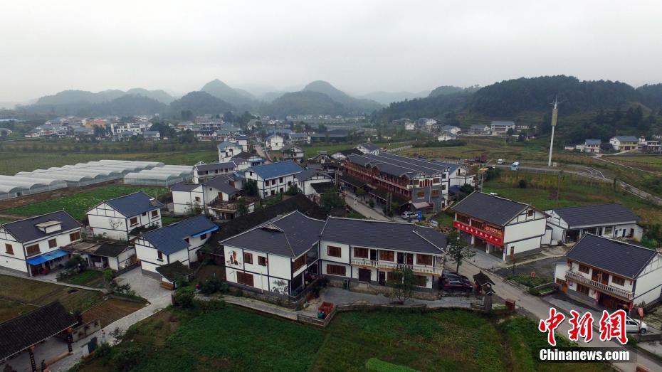 黄色网战在线播放