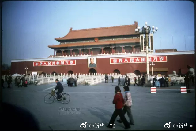 殴美一级黄色网站