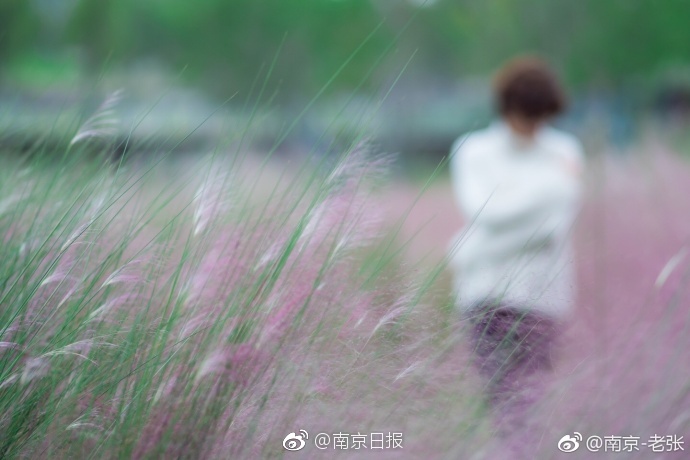 老熟妇Av网站6