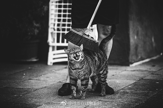 靠逼视频下载