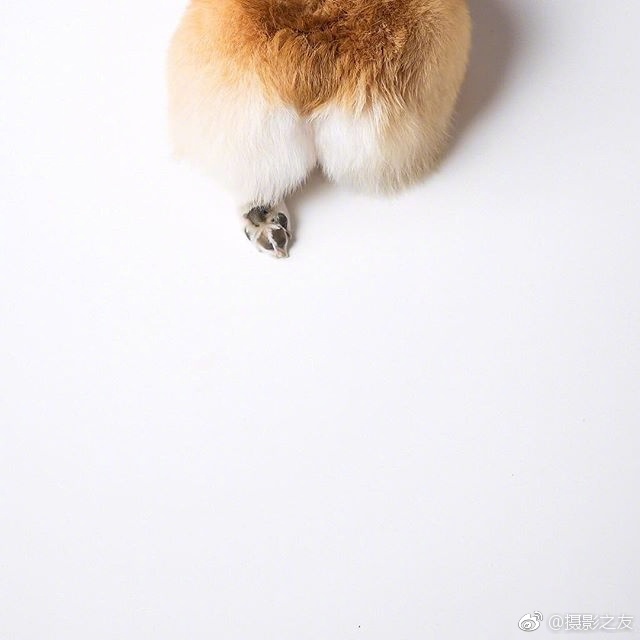 美女露胸软件