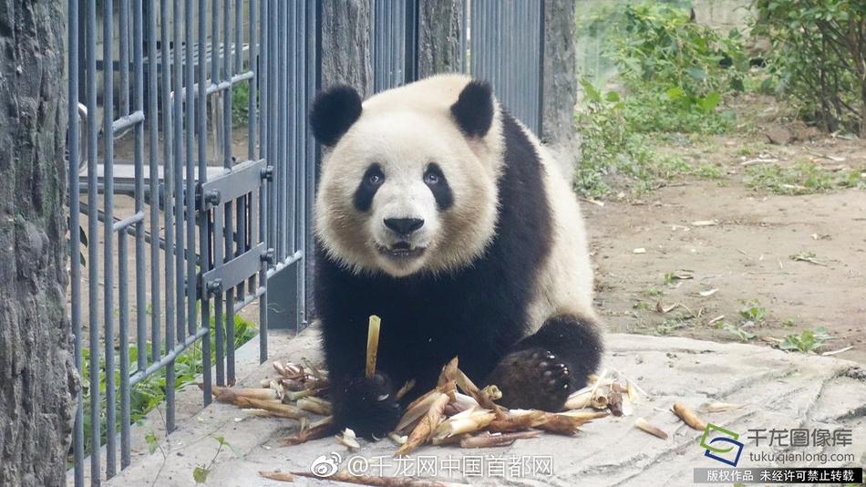 男人狂躁女人40分钟视频