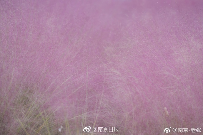欧美大片颜色指数六颗星