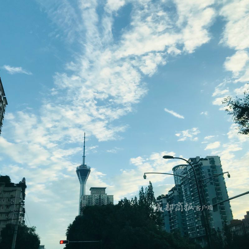 《乳色吐息》未删减