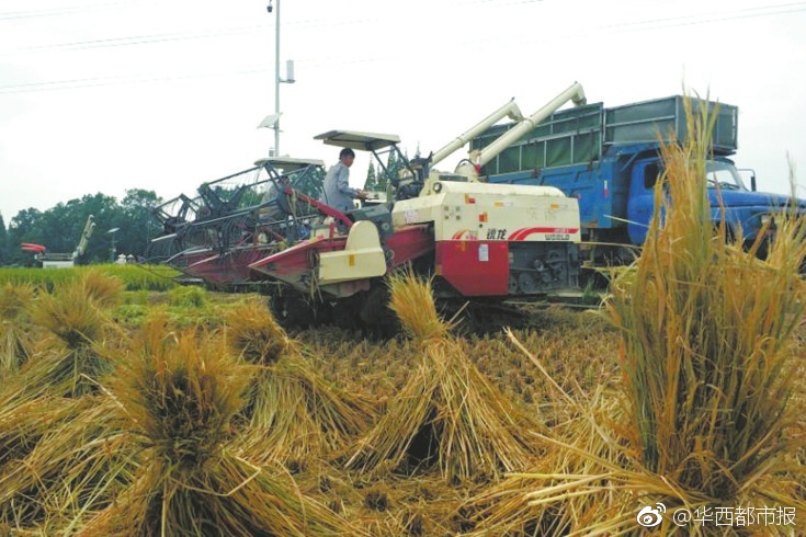 国产激情网