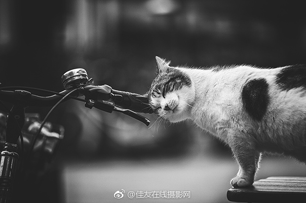 爽 躁多水 快 深点快百合小说