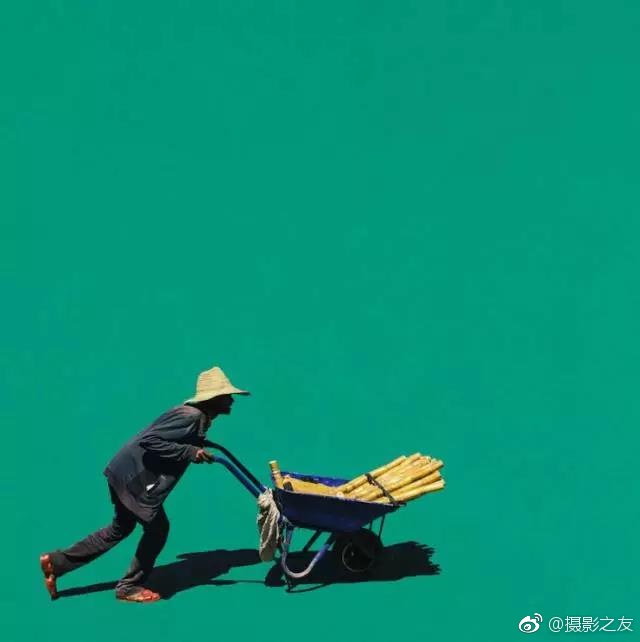 兄妹亂倫