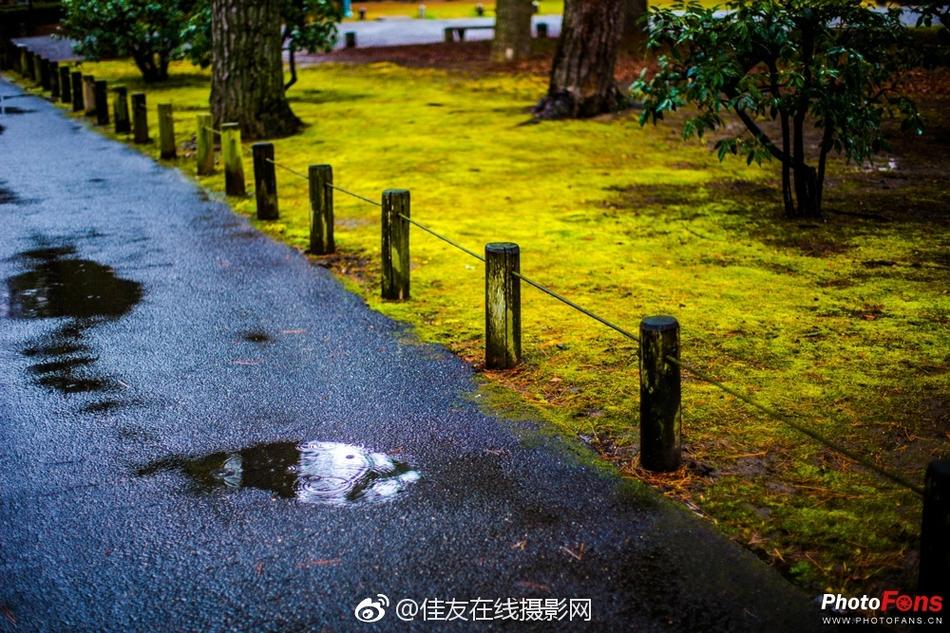 三极黄一片