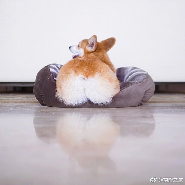 国产精品欧美精品