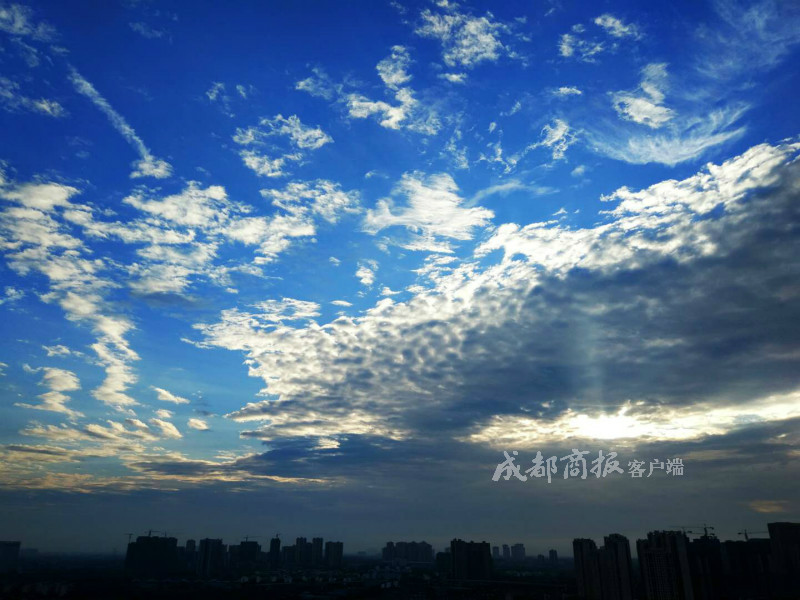 动漫偶像