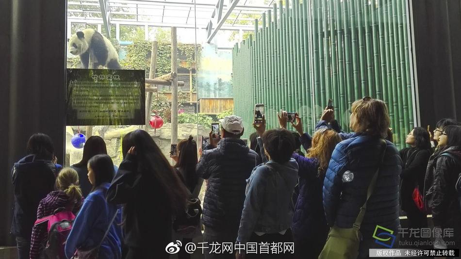 动漫裸体啪啪 h动画霸道总裁