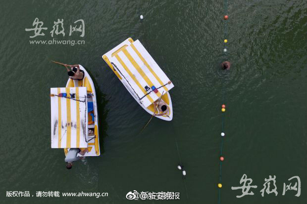 欧美一級黃色A片免費看