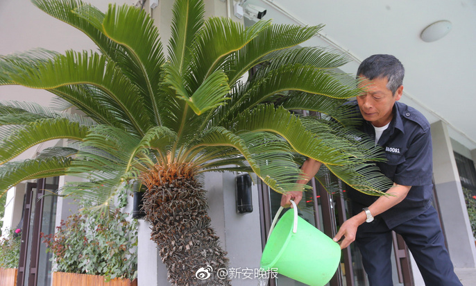一级黄色录像影片夫妻性爱