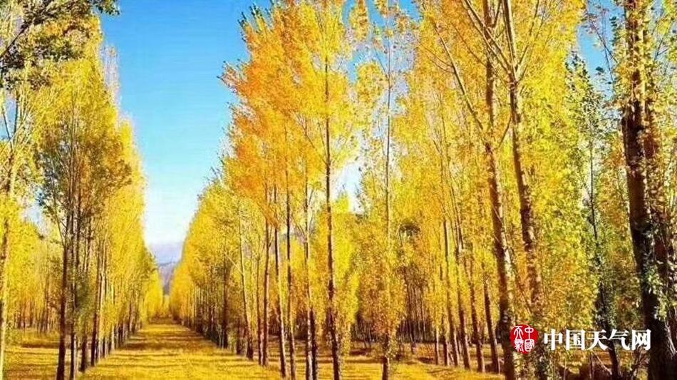中国老太卖婬Hd