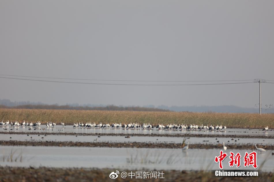 被学长抱进小树林c个爽