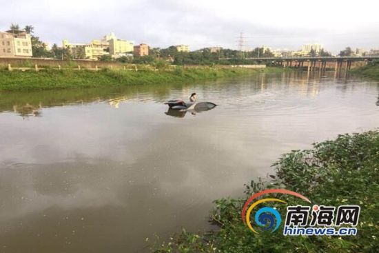 狠狠影院