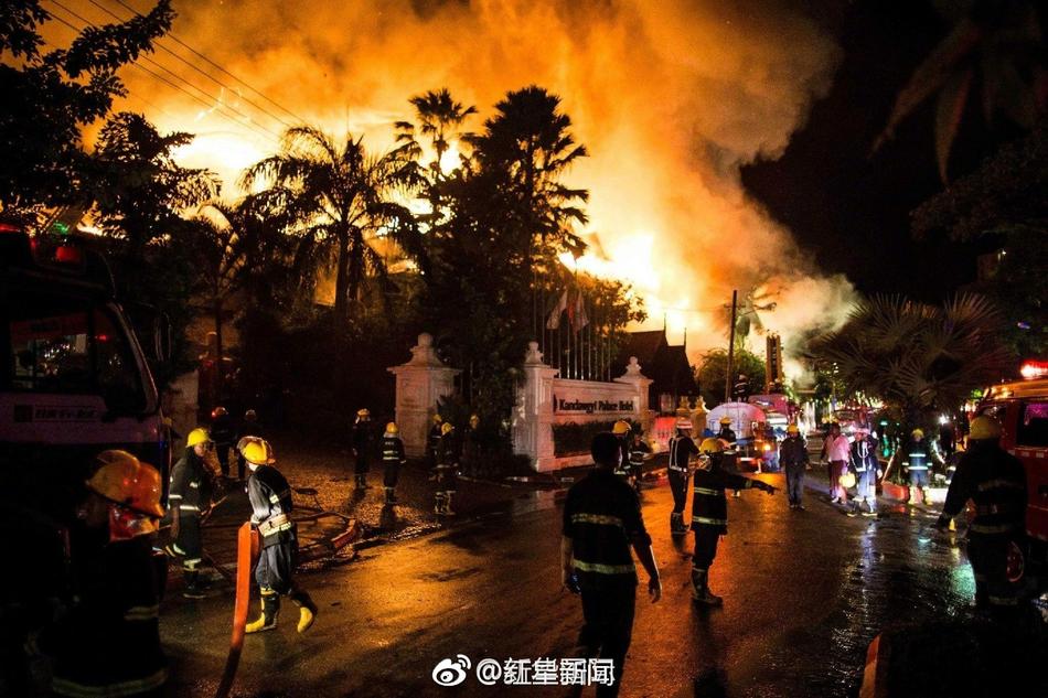 免费黄片儿视频。黄片