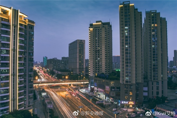 黄 网 排行