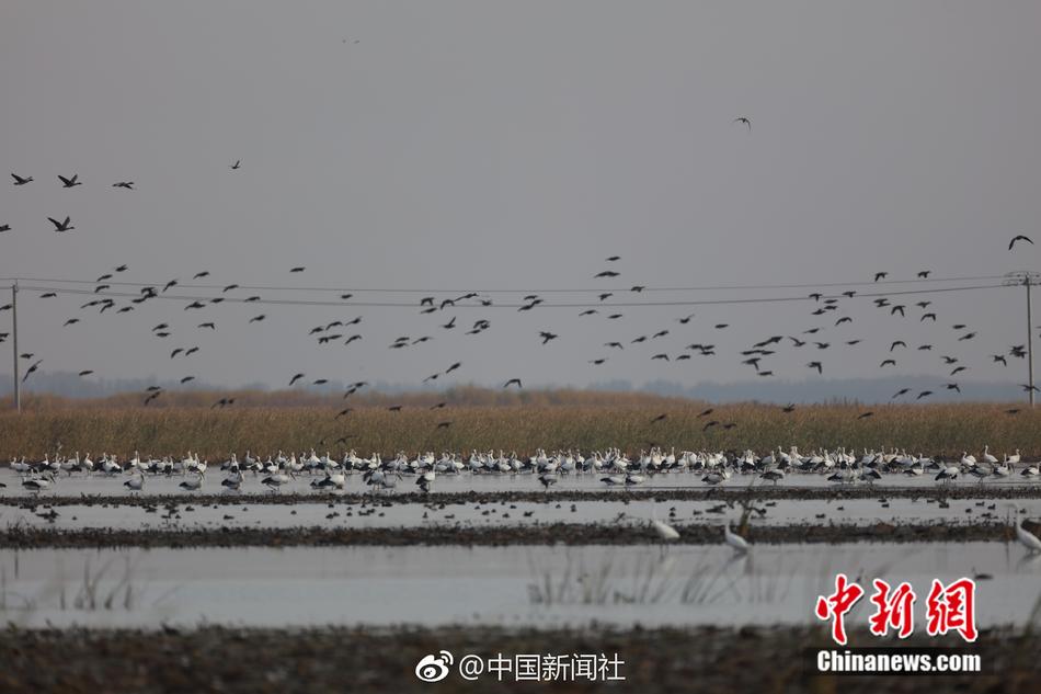 Chinese性老太Hd大全