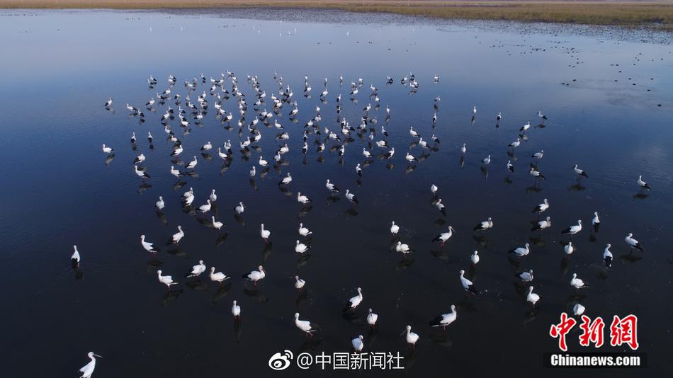 好男人在线社区WWW第71集