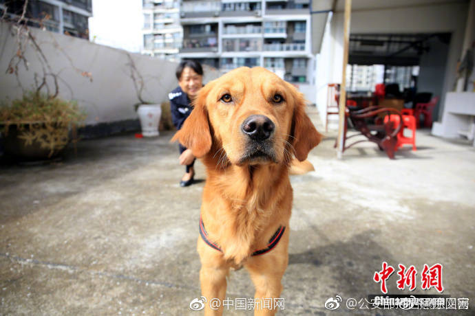 台灣地方上的媽媽