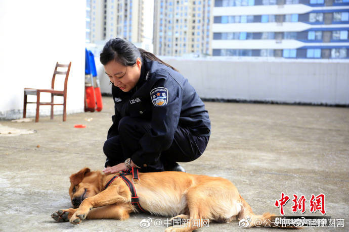 俄女人大荫蒂毛茸茸