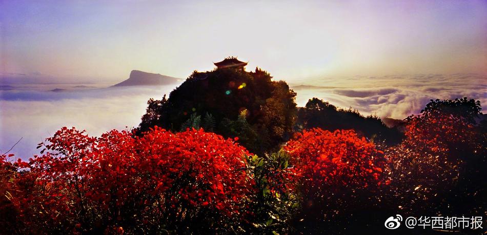 粉色苏州晶体i0S
