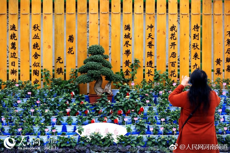 被强硬进入漂亮人妻