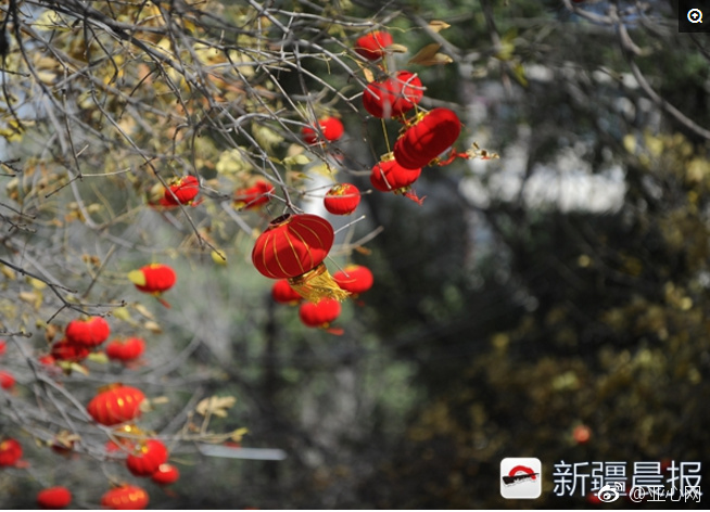 操逼操逼操逼