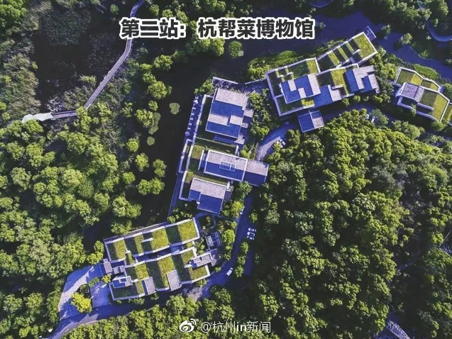 成人AV影视