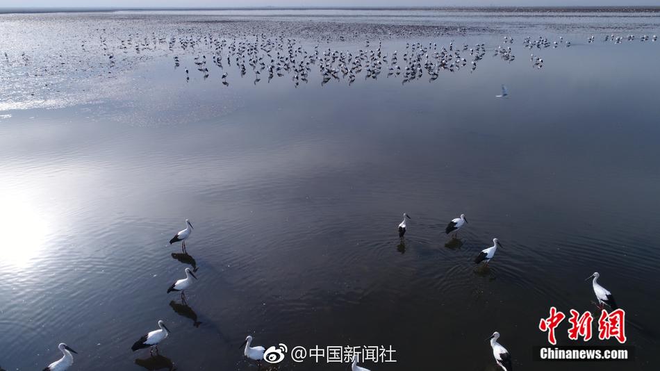 港台经典四级无码