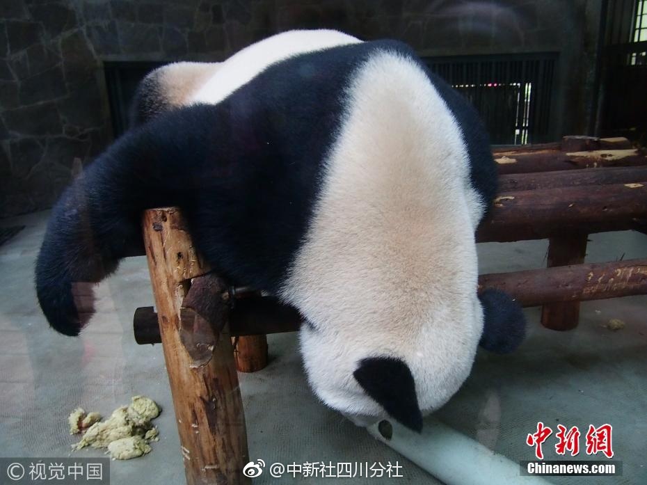 女优自慰一区