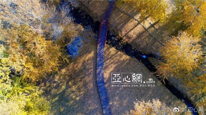 法国空姐2019满天星法版:星辉照耀