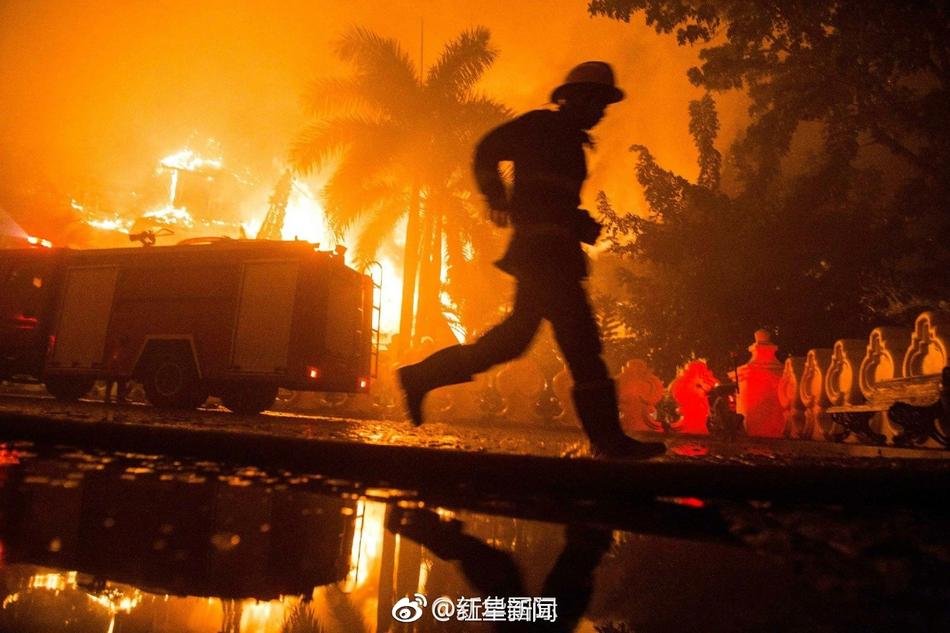 又黄又爽的视频
